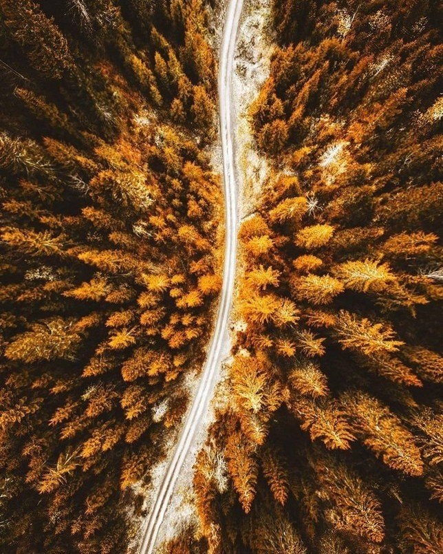   - 3