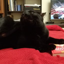 Maria, ��������