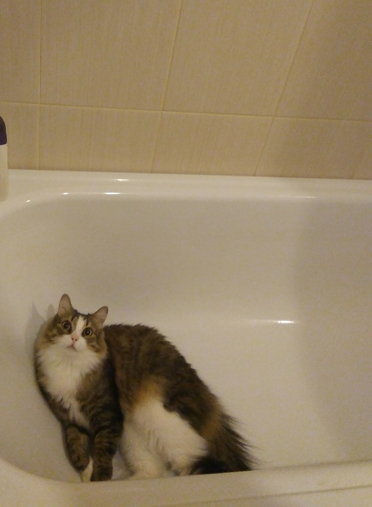 #�������_�����.� 2013 �������� ������, ������ �������,� ������� ������,�������� ��������� �� ����� ... - 3