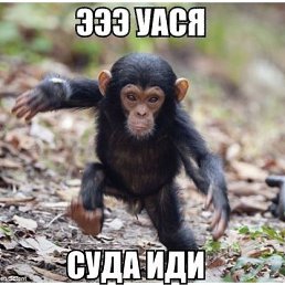 , -
