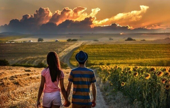  -     - .   -    ...