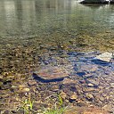  , , 46  -  20  2018     "" ( 2018)