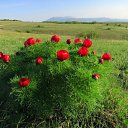 ���� Vladymyr, ������ - ��������� 12 ������� 2019 � ������ ������ ��������