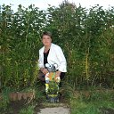 ���� �����, ���������, 54 ���� - ��������� 24 �������� 2018 � ������ ���� ����������