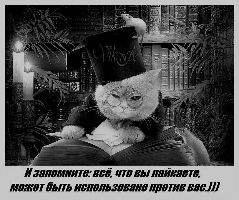 ***Victoria Viktorovna*** - 18  2018  14:54