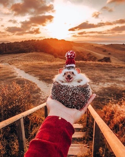������� ��������! - 5