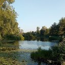 ���� ���������, ���������� �����, 68 ��� - ��������� 2 �������� 2018 � ������ ���� ����������