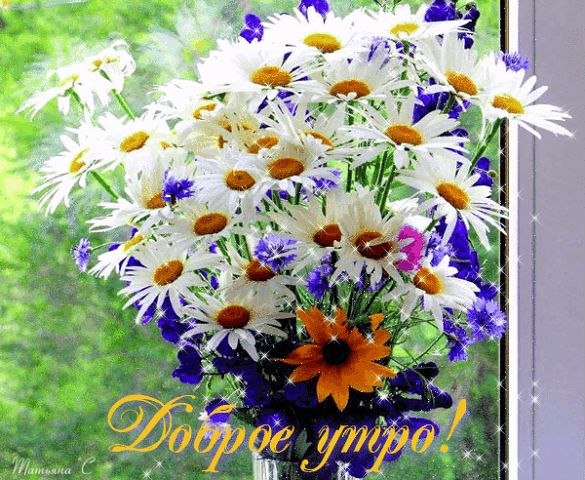 Доброе утро!!! От всей души, всем сердцем улыбнись, Пусть позитив тебя накроет с головой! Жизнь так ...