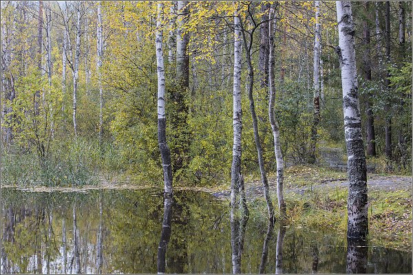 © михайлов.Начало осени...#природа#пейзажные_мотивы#осень#михайлов