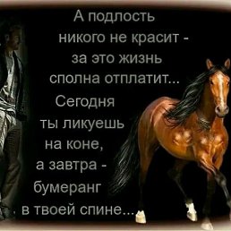 ���� ������, �������, 54 ���� - ��������� 3 ������ 2018