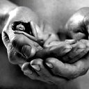 ���� �����, �����-���������, 63 ���� - ��������� 18 ������ 2018 � ������ ������ ��������