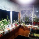 ���� �����, ���������, 56 ��� - ��������� 30 ������� 2018 � ������ ���� ����������