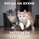  , -, 49  -  23  2019    