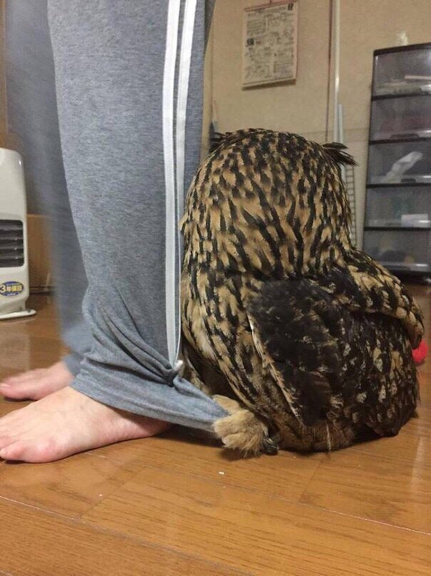 o  p a eep, e a o o a :) - 2