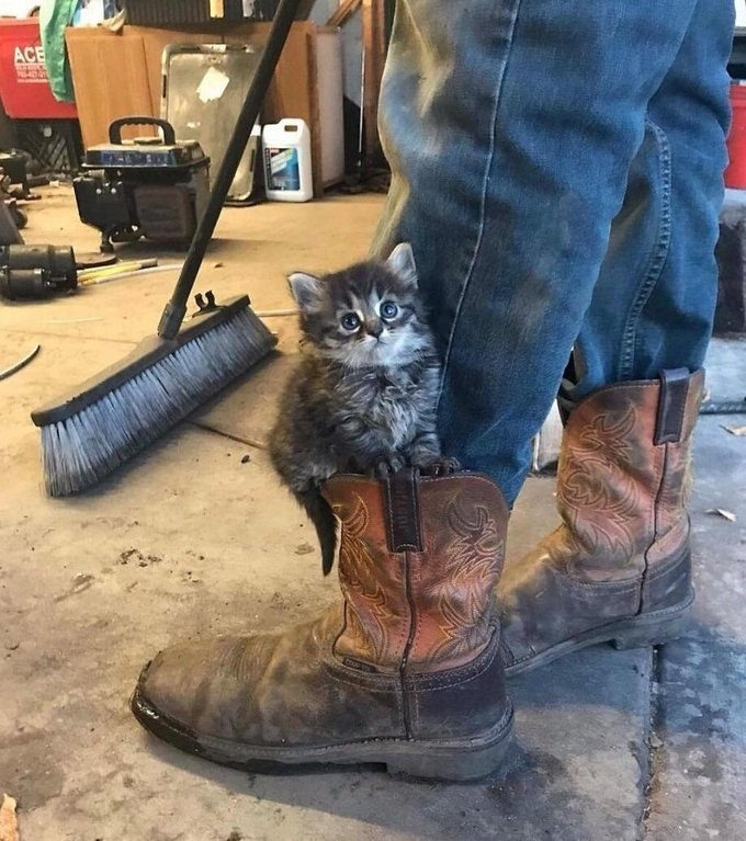   :-)