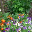 ���� �������, ������, 68 ��� - ��������� 24 ���� 2018 � ������ �24_07_2018�