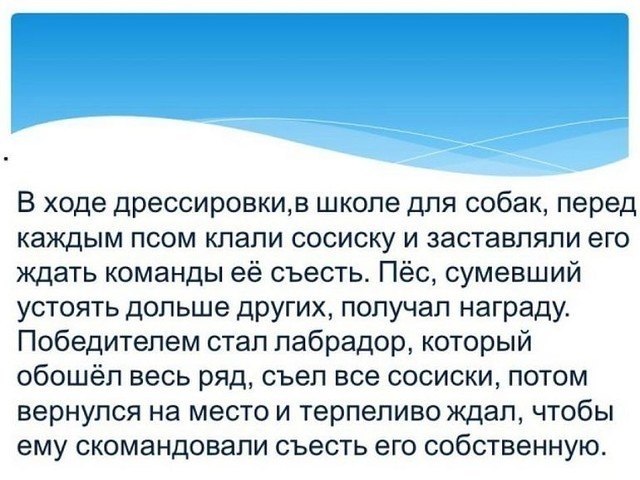 ☆ ☆ - 5  2019  17:04