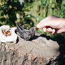 ���� ����, �������, 59 ��� - ��������� 25 ������ 2018 � ������ ������ ��������