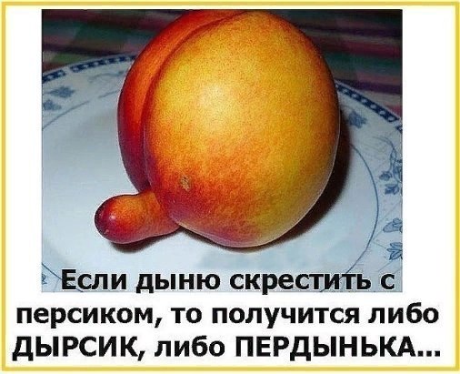  ))))