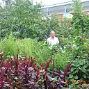  Viktor,  -  30  2018    