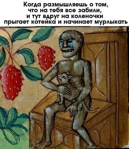 ☆ ☆ - 25  2019  16:49