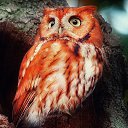 ���� �����, ���������, 59 ��� - ��������� 18 ������ 2018 � ������ ���� ����������