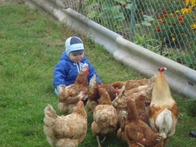         ,   ,  ...   ... - 5