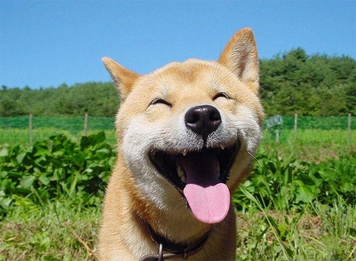  !