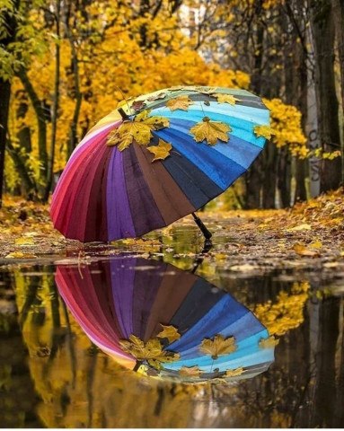 А наша жизнь похожа на прогноз.Погоды, что синоптики вещают:То потеплеет, то опять мороз,То перемены ...