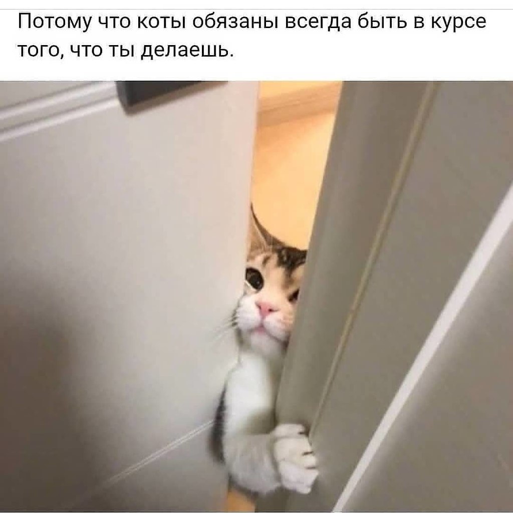   - 9  2018  17:52