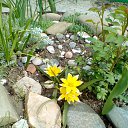 ���� ����� ;), ��������� - ��������� 10 ����� 2019 � ������ ���� ����������