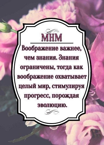    - 24  2018  16:48