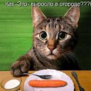 ���� Nikolay, �������, 51 ��� - ��������� 21 ������� 2018 � ������ ���� ����������