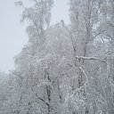 ���� ���������, ���� - ��������� 24 ������� 2018 � ������ �����-��������� ����� ����� �����