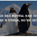  , -, 64  -  10  2019    