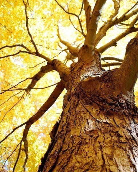 Art & Fun - 4  2018  17:08 - 6