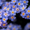 ���� �.�., ���� - ��������� 28 ������� 2019 � ������ ���� ����������