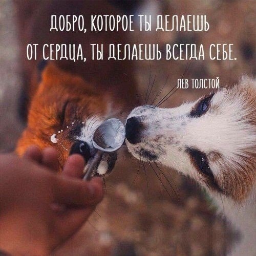     .   ,   ...