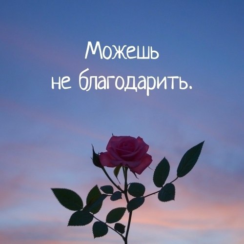   .   , : - 2