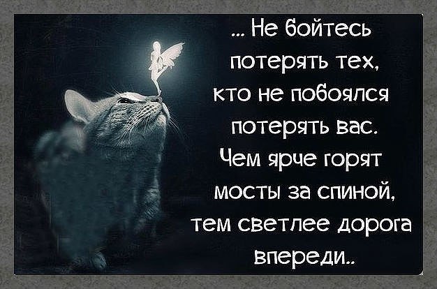  - 29  2018  14:40 - 2