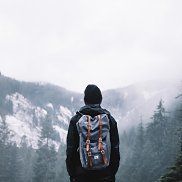 ����, 41 ���, �����