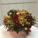 ���� �������, ������, 49 ��� - ��������� 10 ������� 2018 � ������ �����������