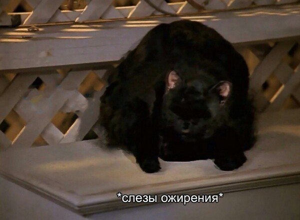   :   - 9