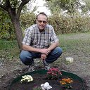 ���� ����������, ��������� - ��������� 7 ����� 2019 � ������ ���� ����������