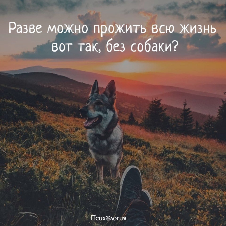  - 24  2018  16:21