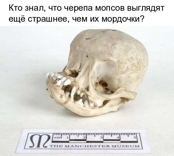   - 14  2018  16:51