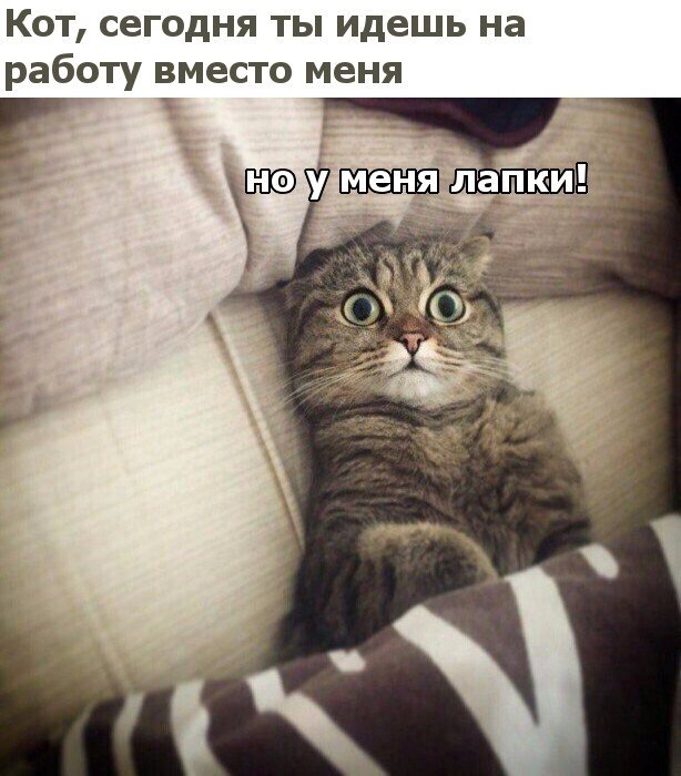       - 20  2018  16:51