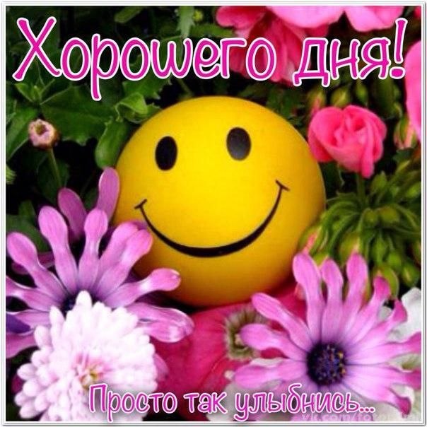   ,    . - 23  2019  13:53