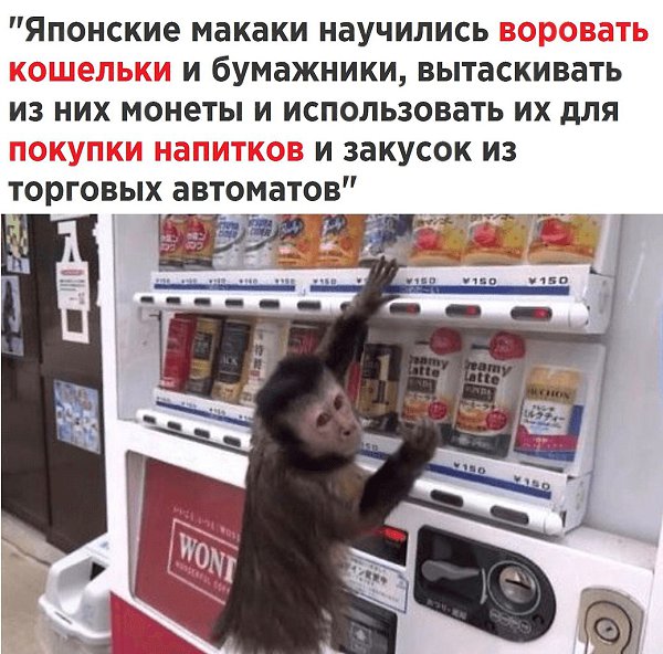   - 29  2018  16:44