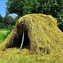 ���� �������, �����������, 71 ��� - ��������� 23 ���� 2018 � ������ ������ ��������